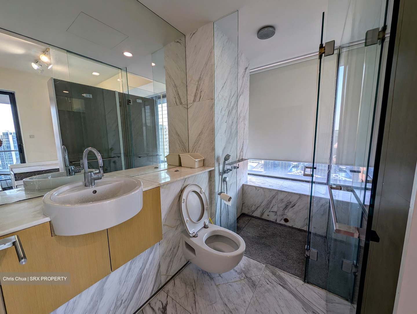 Newton Suites (D11), Apartment #519438841